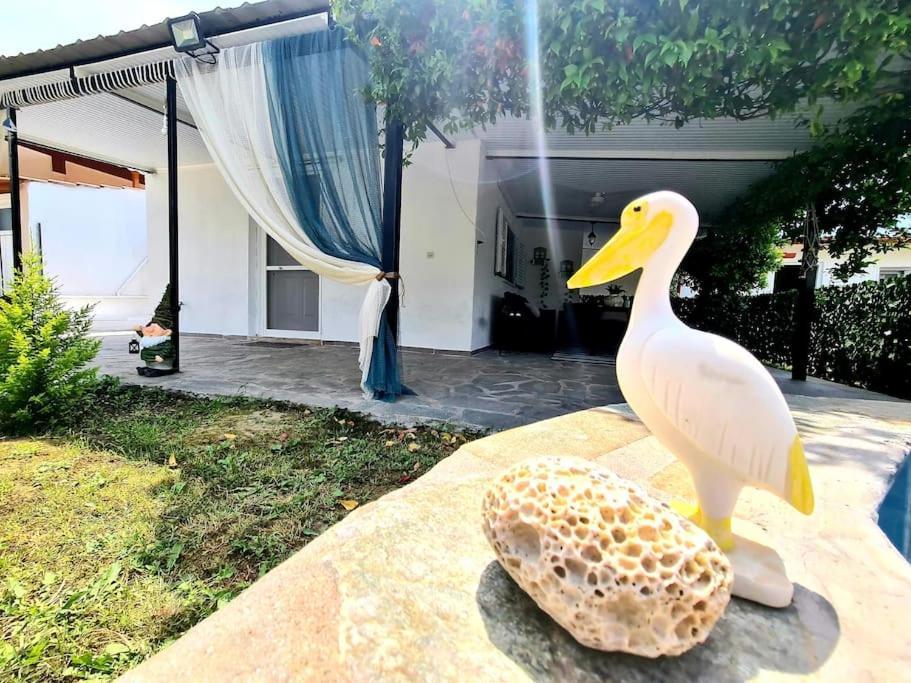 Mom'S Seaside Home Kariani Bagian luar foto